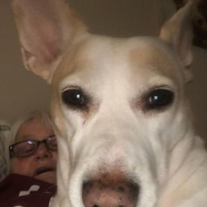 Meet your Posher, Patsy